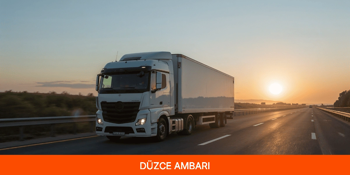 Düzce Ambarı