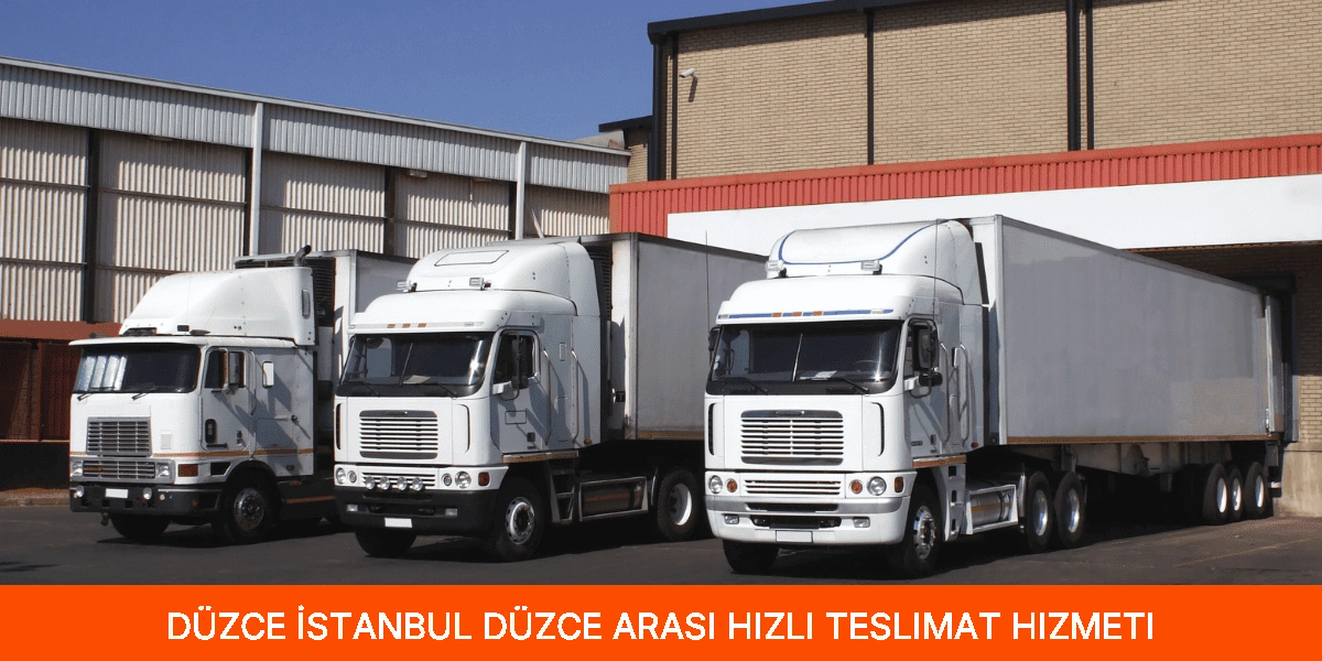 İstanbul Düzce Arası Hızlı Teslimat Hizmeti
