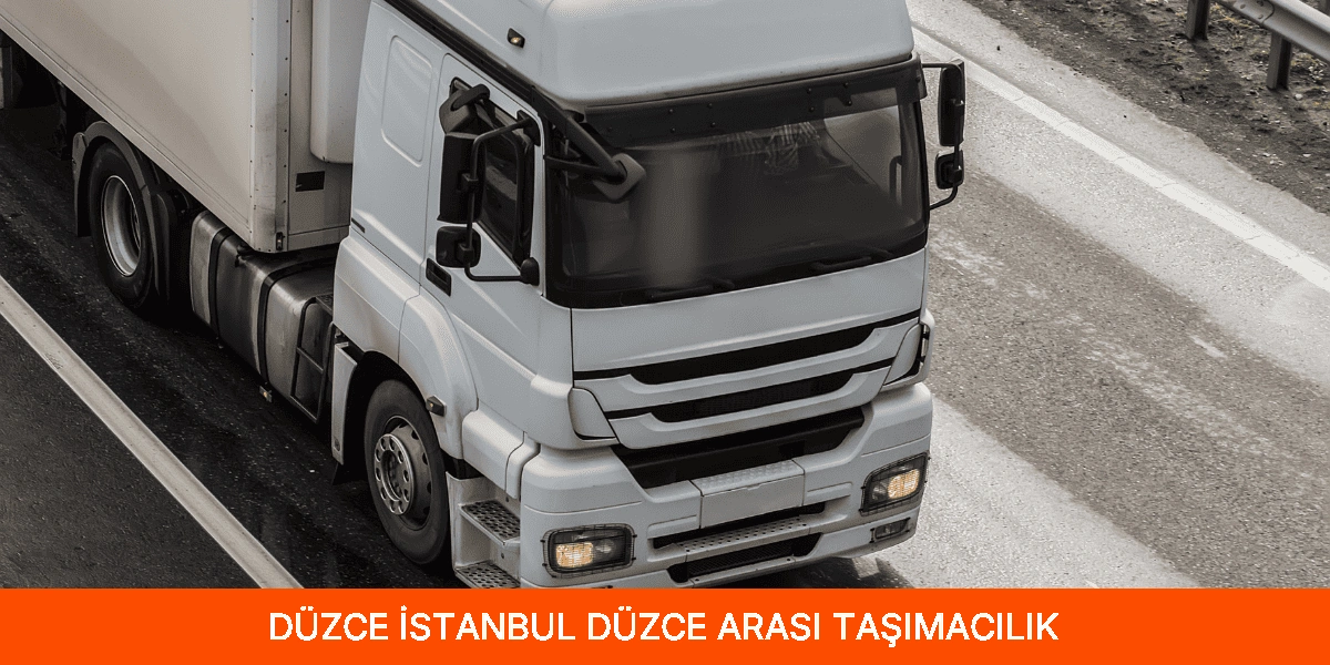 İstanbul Düzce Arası Taşımacılık