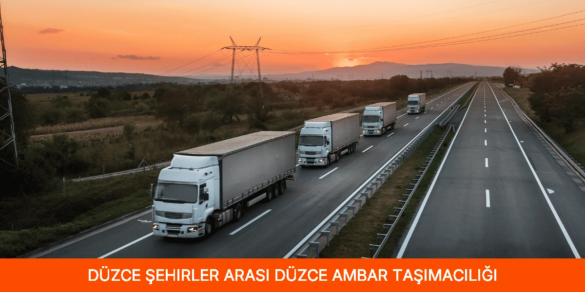Şehirler Arası Düzce Ambar Taşımacılığı